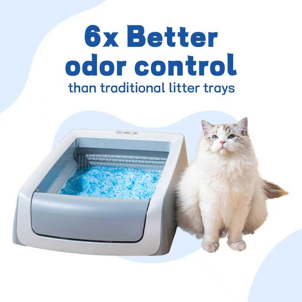 Crystal Cat Litter and Disposable Litter Trays 5 Sets F654
