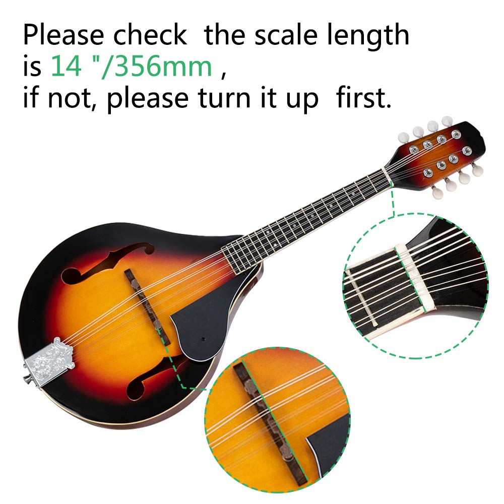 A Style Mandolin Musical Instrument with Guard Board J9690