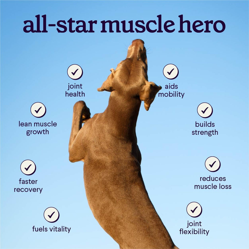 Dog Mobility & Strength Supplement 3.17 oz E220303