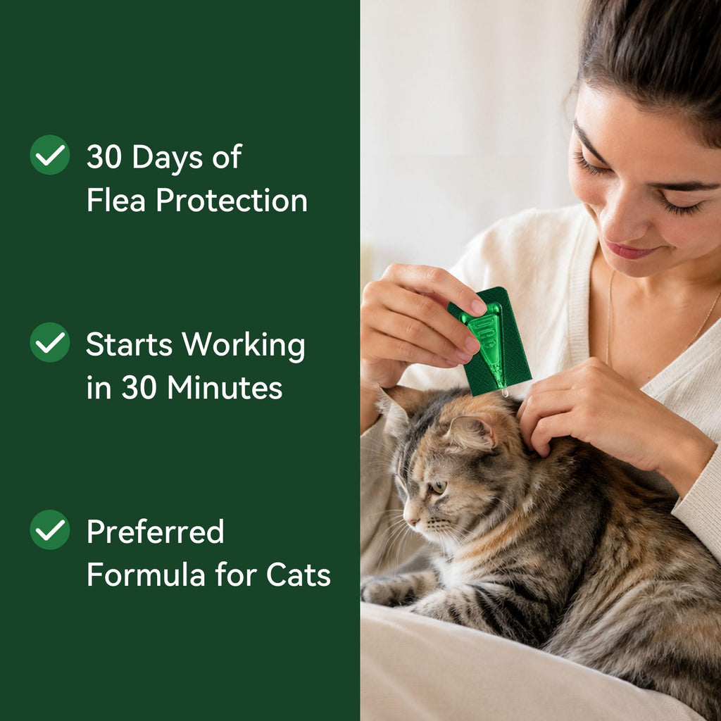 Cat Flea and Tick Treatment 6-Month Supply Z642933