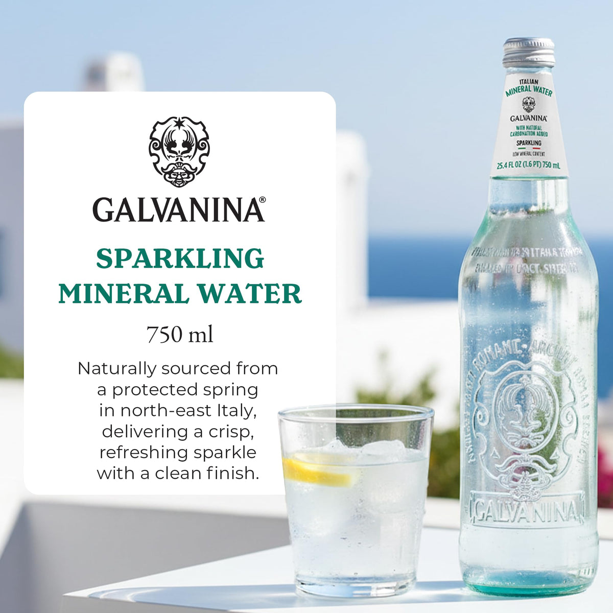 Sparkling Mineral Water 750 ml 12 Glass Bottles G4055
