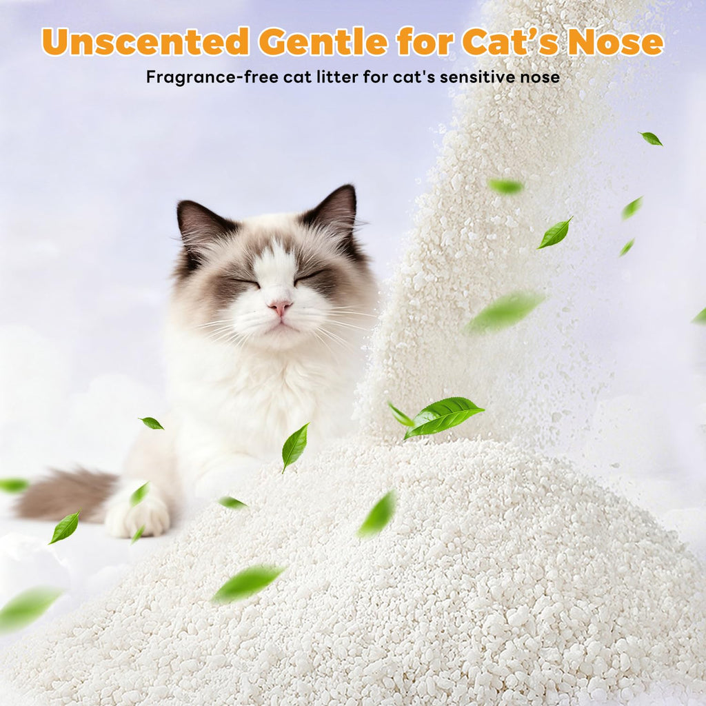 Non-Stick Clumping Cat Litter 18 lbs 2 Pack P3325