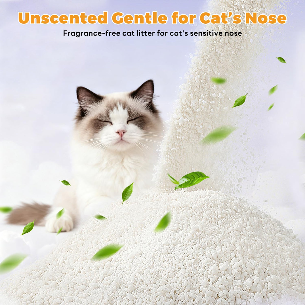 Non-Stick Clumping Cat Litter 18 lbs 2 Pack P3325
