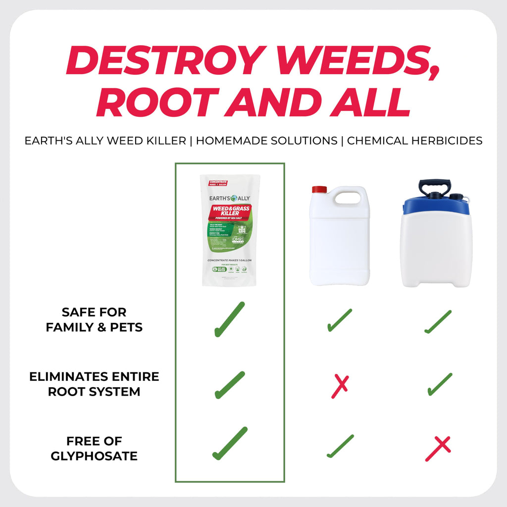 Grass & Weed Killer Spray, 32 Fl Oz M963