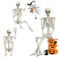 5.4FT Posable Life Size Skeleton V112375