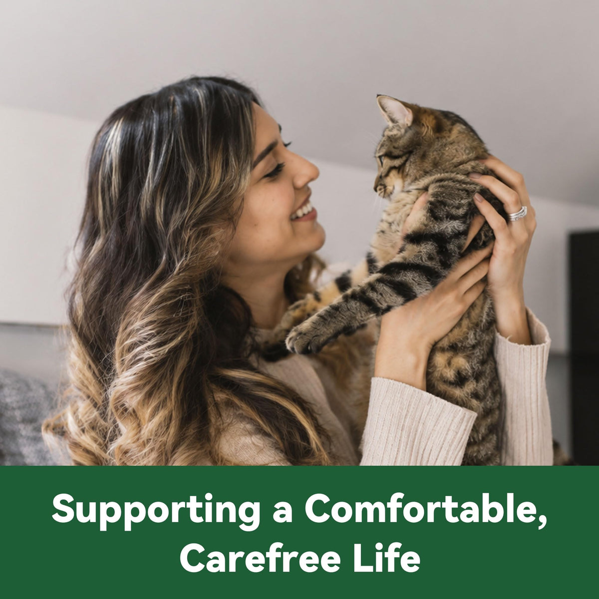Cat Flea and Tick Treatment 6-Month Supply Z642933