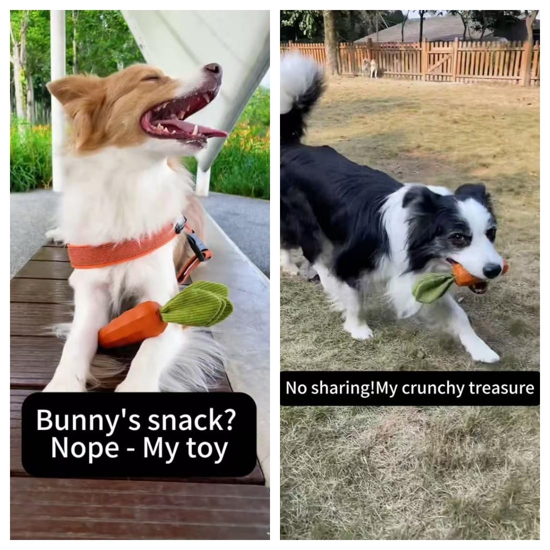 Rubber Squeaky Dog Chew Toys B77289