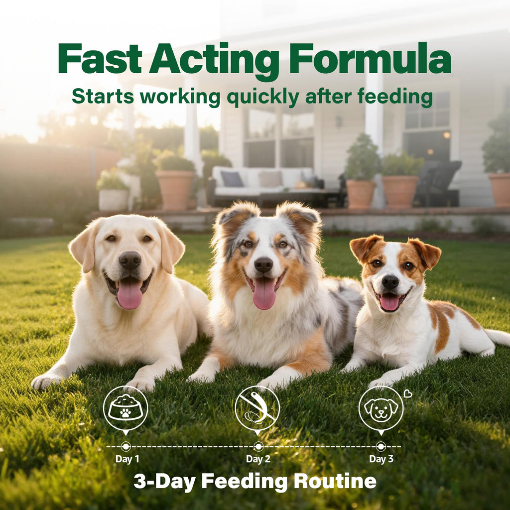 Dewormer for Dogs 50 g V804664