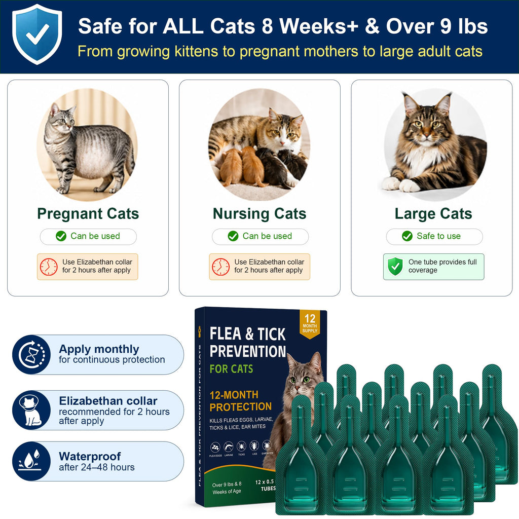 Topical Flea and Tick Preventative for Cats 9lb+ R420