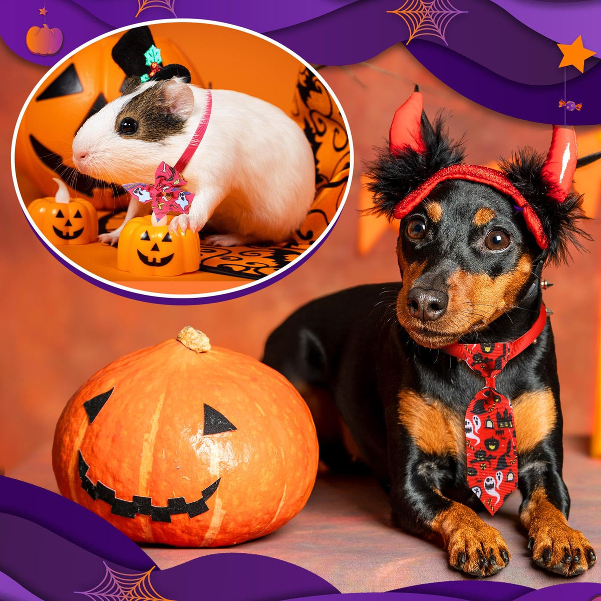 240 Pcs Halloween Dog Bows Tie Collars J8063