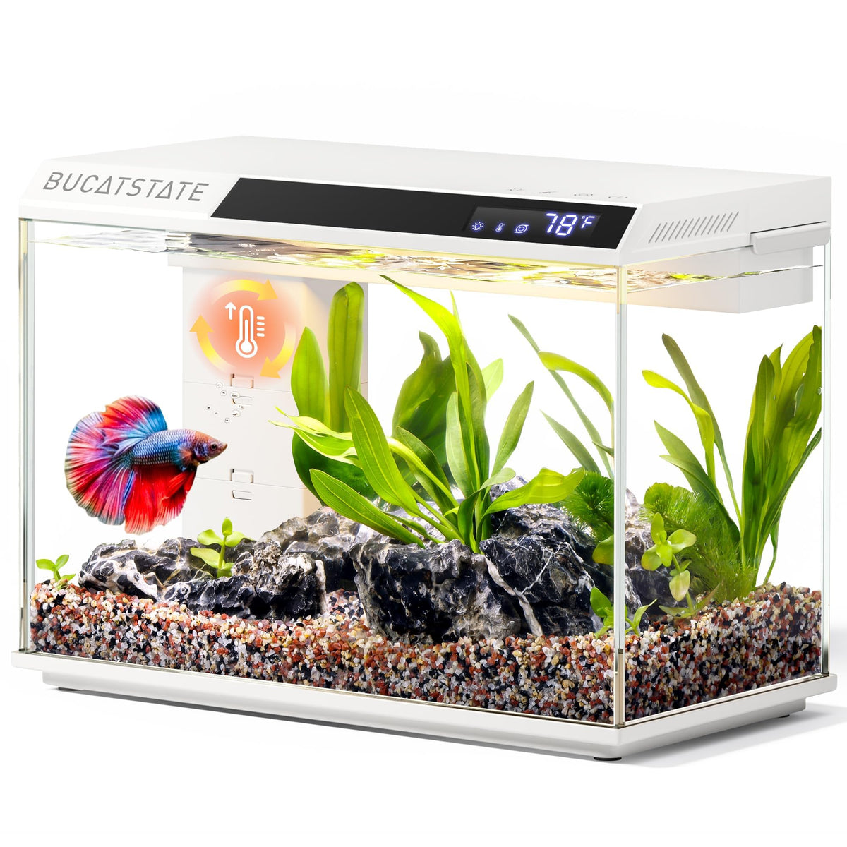 2.6 Gallon Small Fish Tank D5810