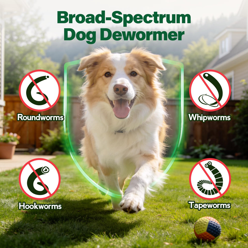 Dewormer for Dogs 50 g V804664
