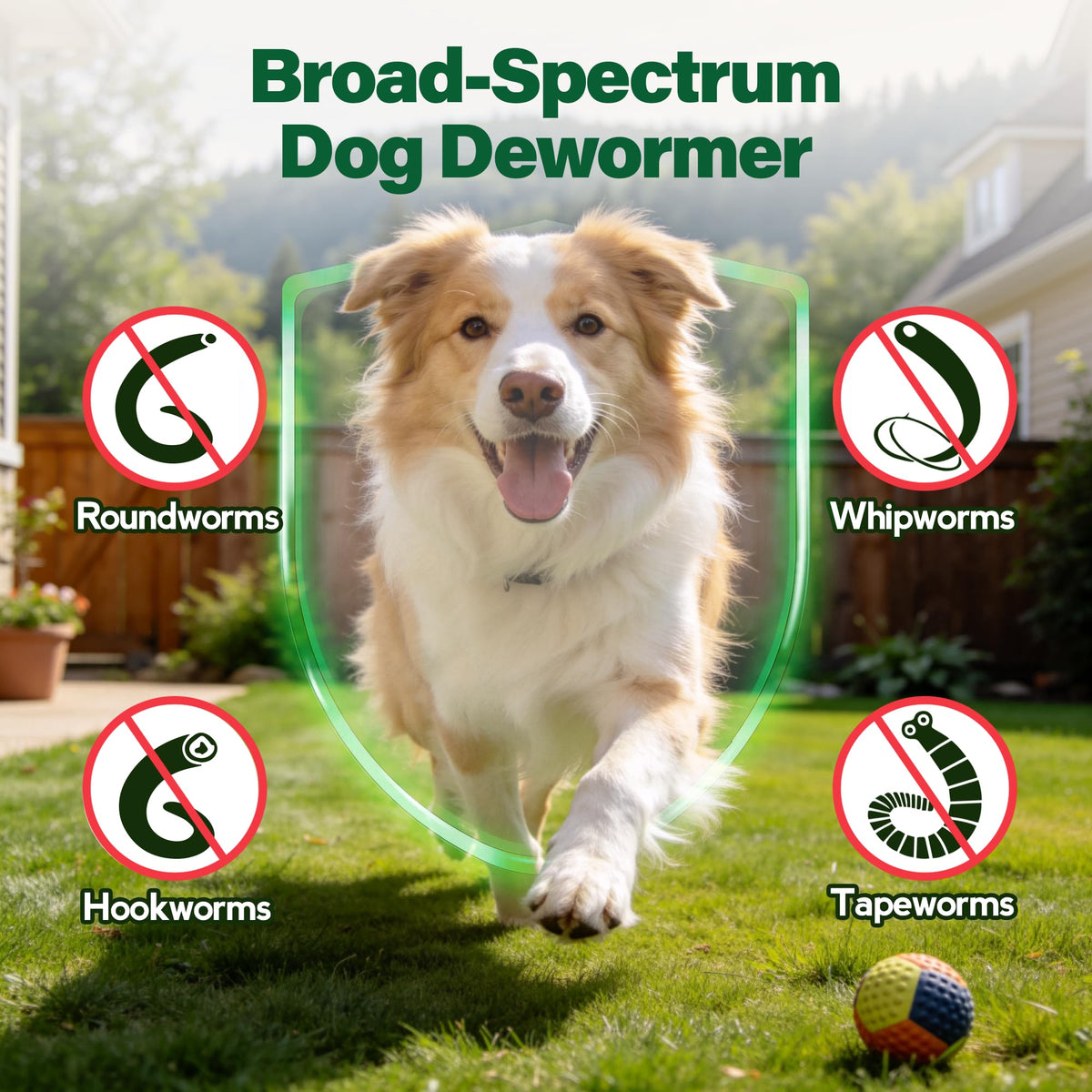 Dewormer for Dogs 50 g V804664