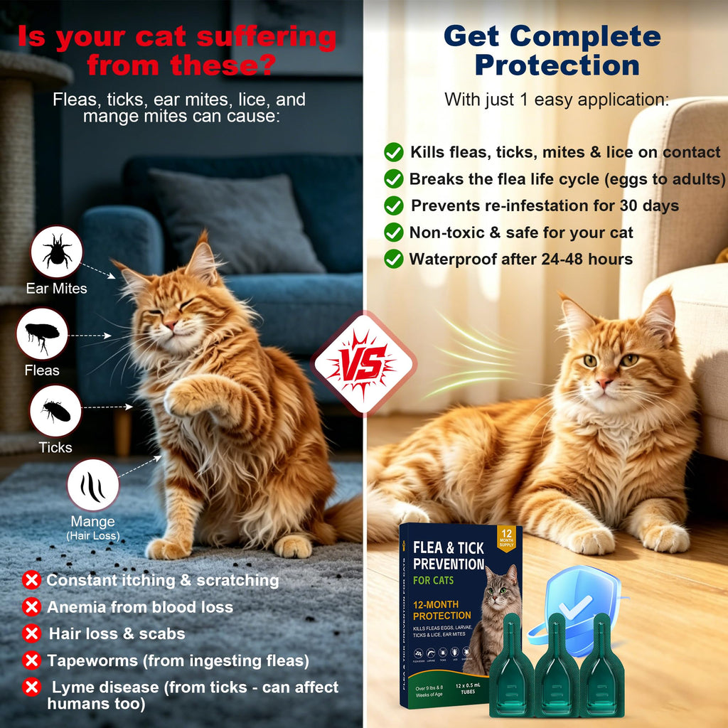 Topical Flea and Tick Preventative for Cats 9lb+ R420