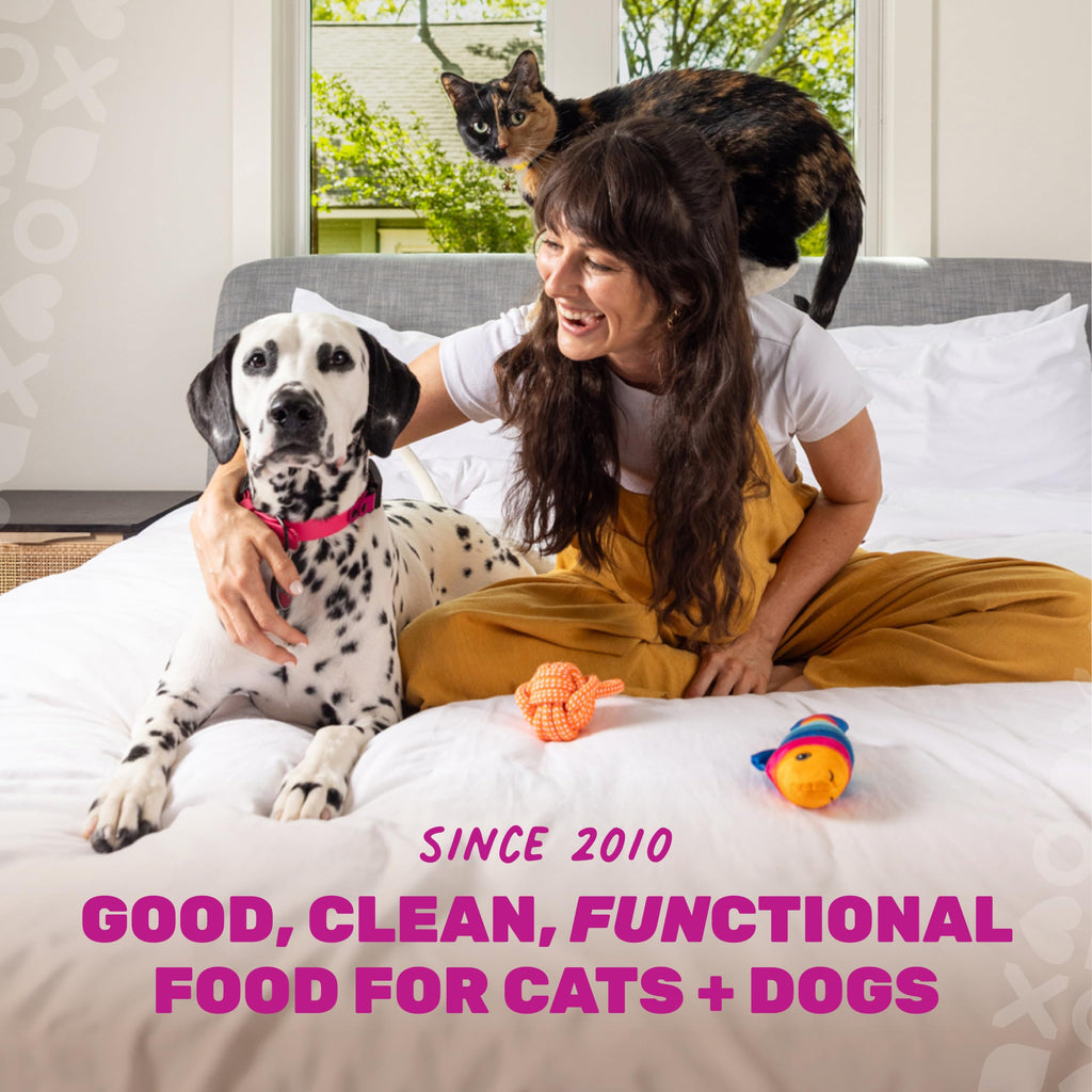 Grain Free Chicken Pumpkin Dry Cat Food G16659