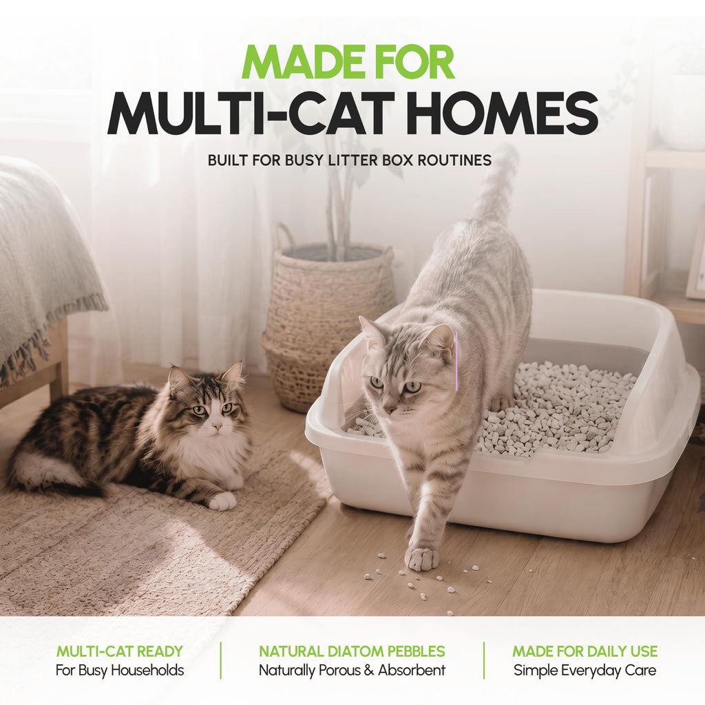 All Natural Unscented Cat Litter 8 lbs M672798