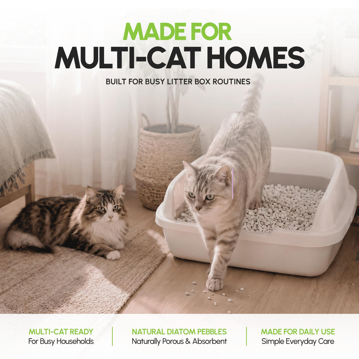 All Natural Unscented Cat Litter 8 lbs M672798