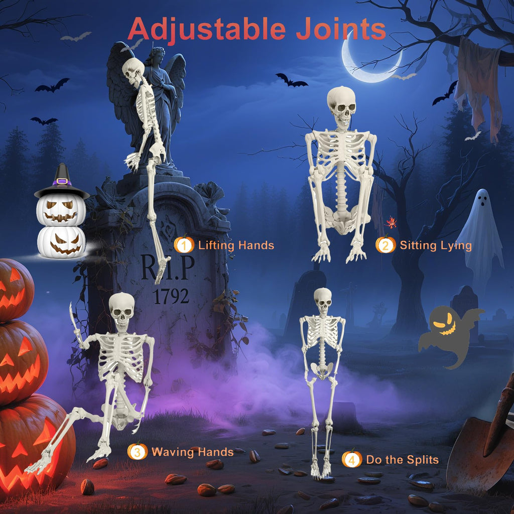 5.4FT Posable Life Size Skeleton V112375