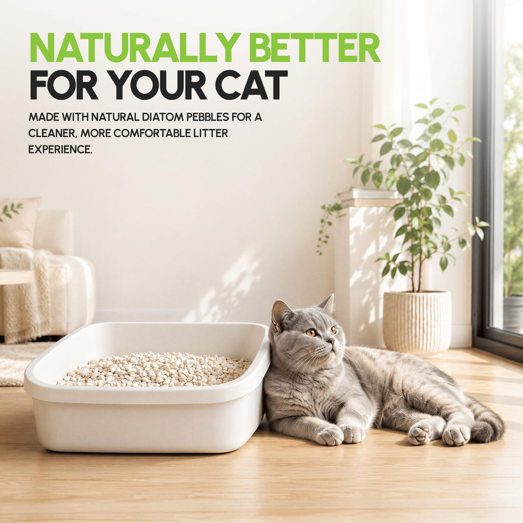 All Natural Unscented Cat Litter 8 lbs M672798