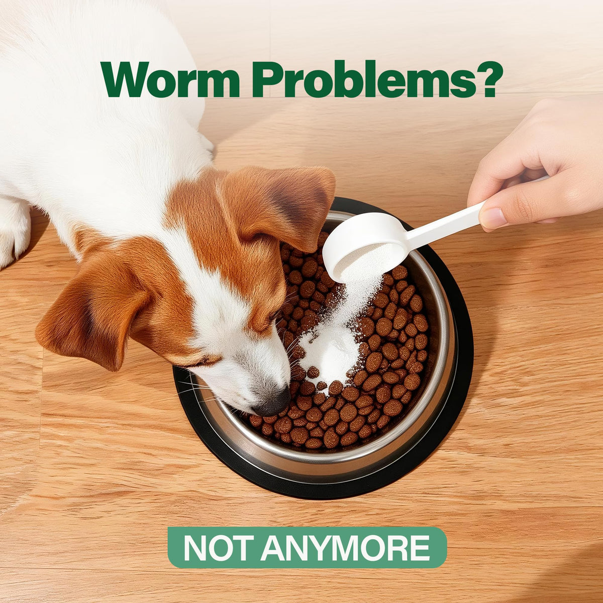 Dewormer for Dogs 50 g V804664