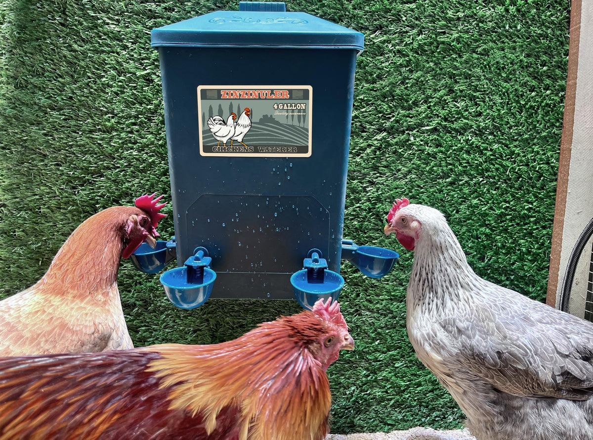 6 Gallon Chicken Waterer 2-Pack D969