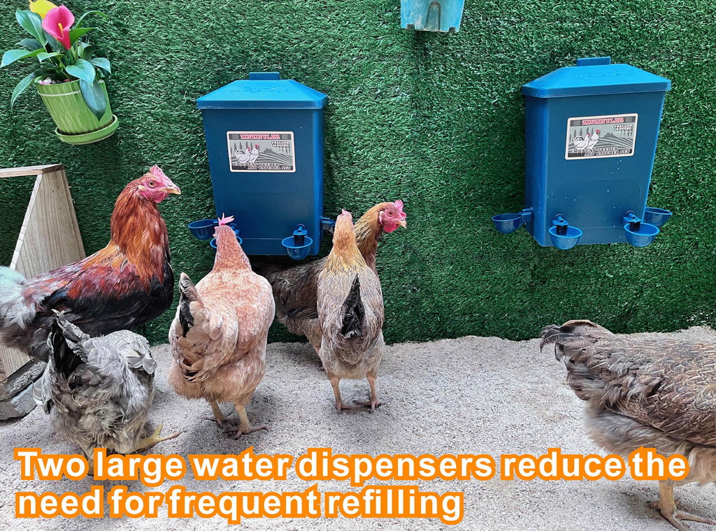 6 Gallon Chicken Waterer 2-Pack D969