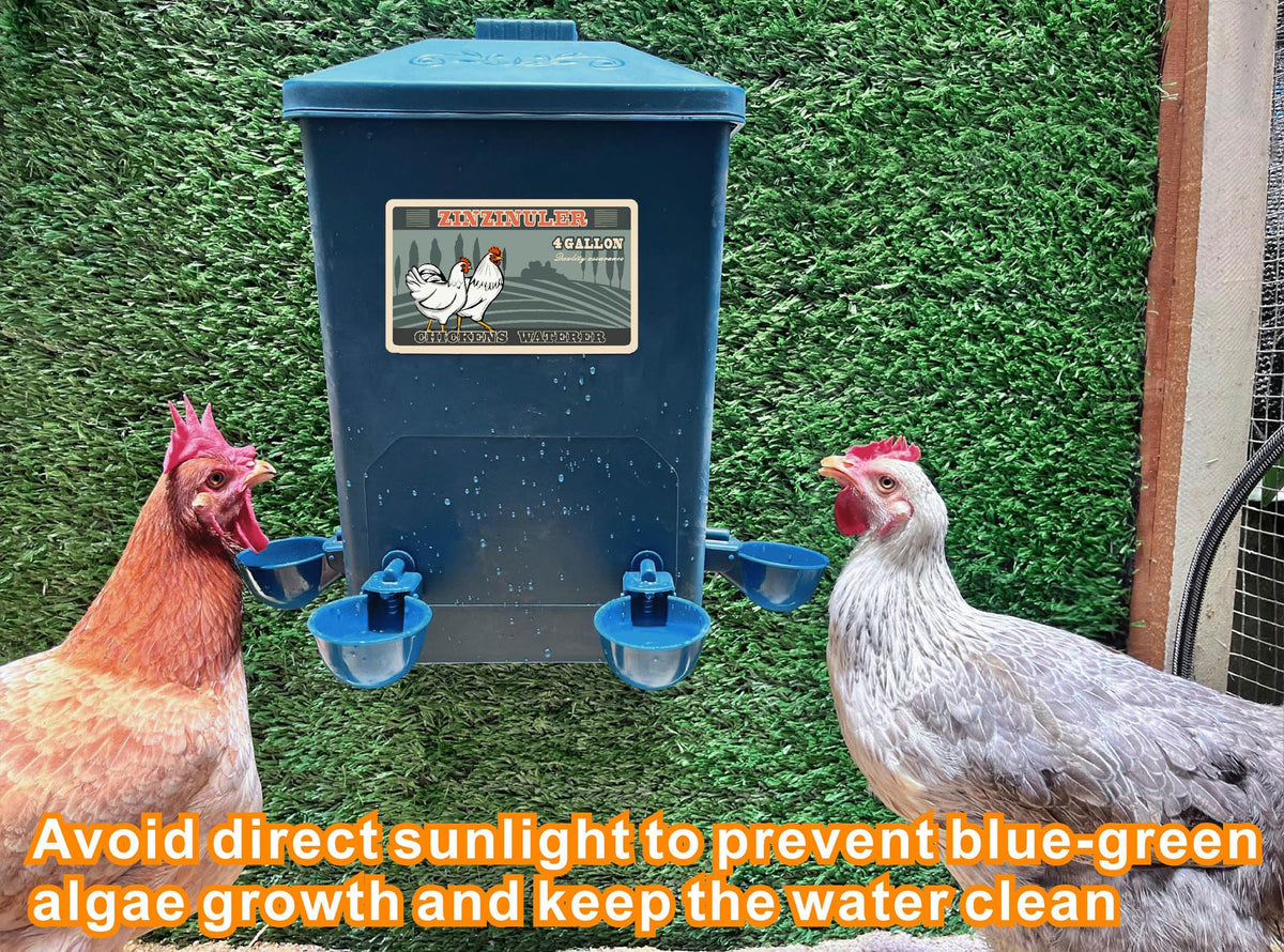 6 Gallon Chicken Waterer 2-Pack D969